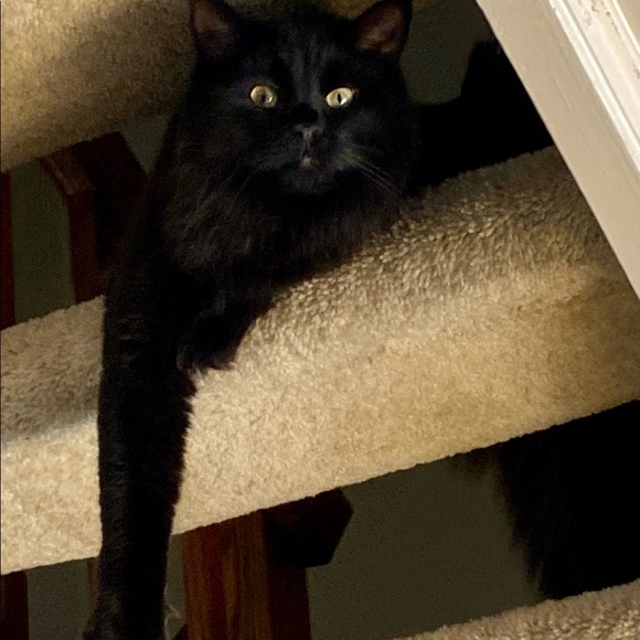 Meet your Posher, Mk - Picture 12 of 12